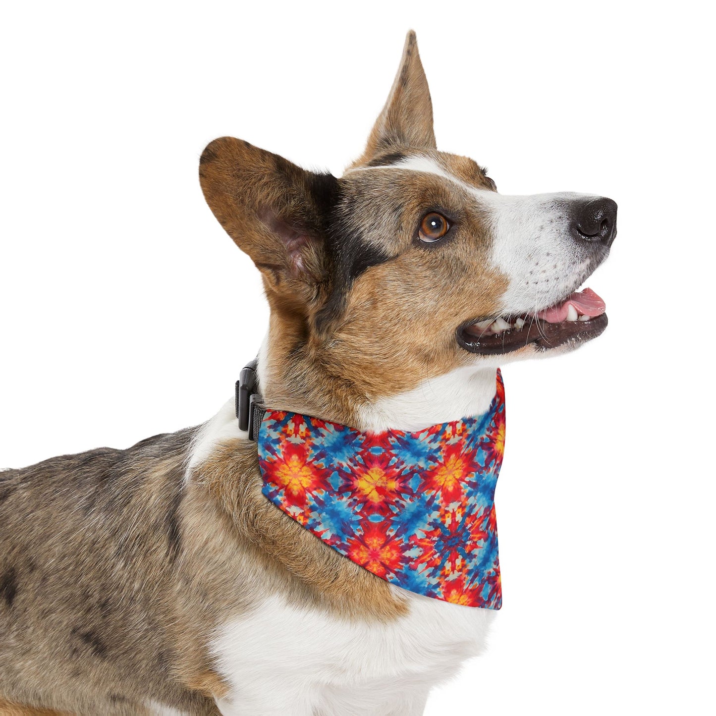Tie-Dye Kaleidoscope Pet Bandana Collar