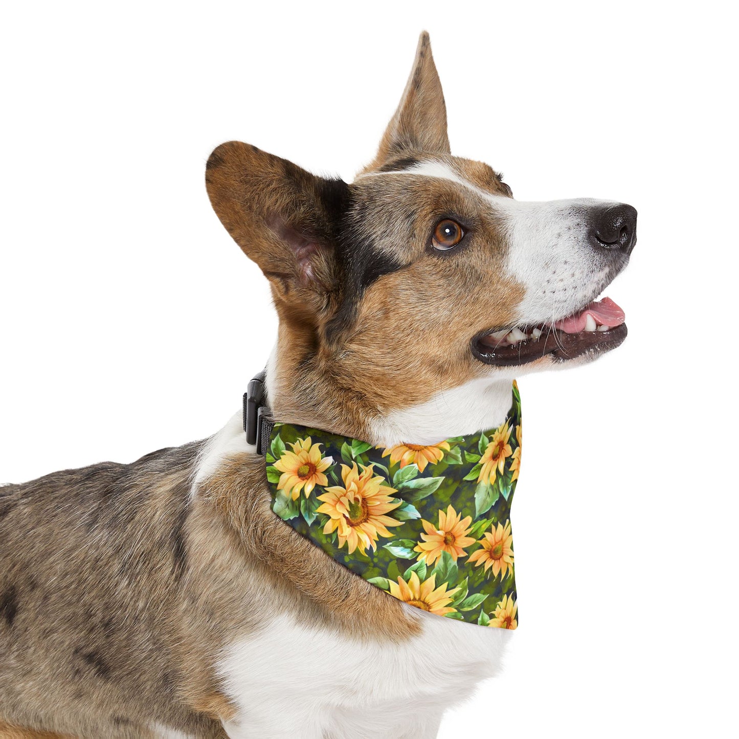 Sunflower Pet Bandana Collar