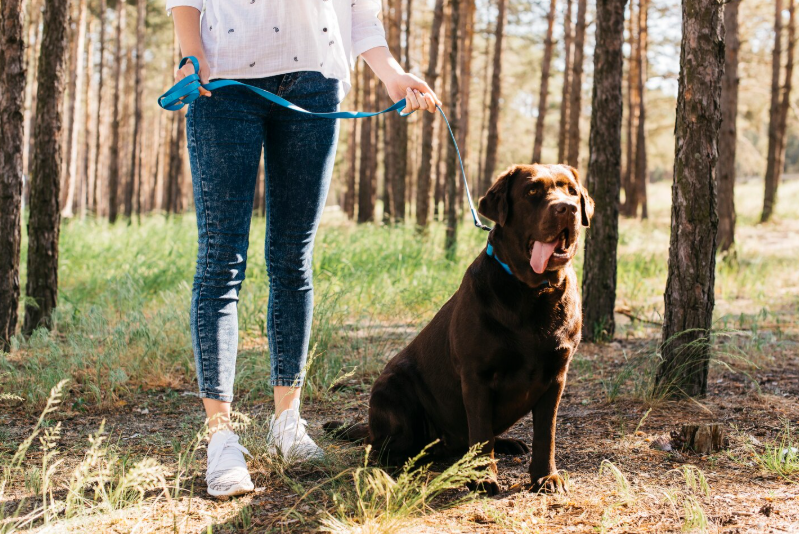Keys to Transforming Your Walking Routine