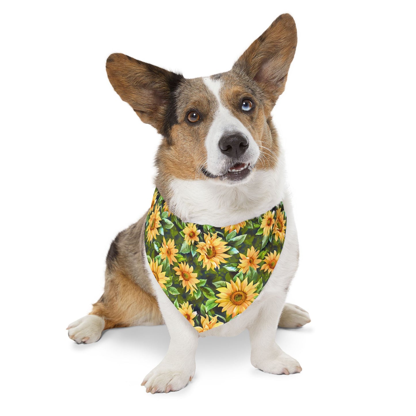Sunflower Pet Bandana Collar