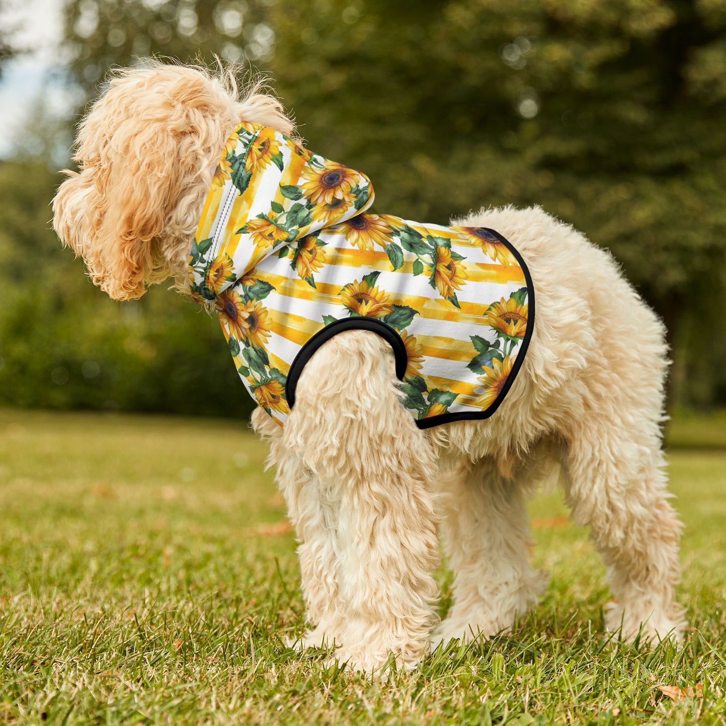 Sunflower Stripe Pet Hoodie