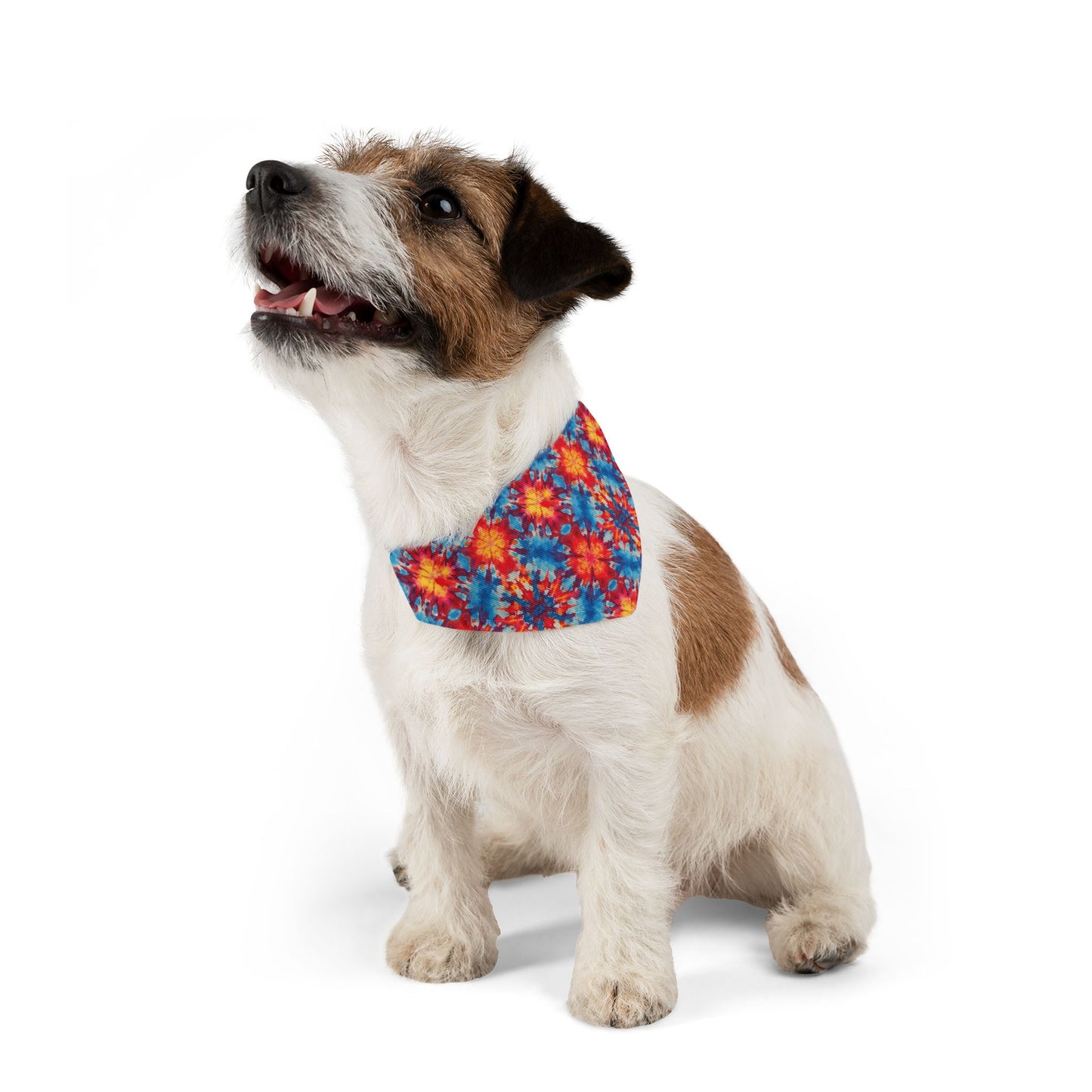 Tie-Dye Kaleidoscope Pet Bandana Collar
