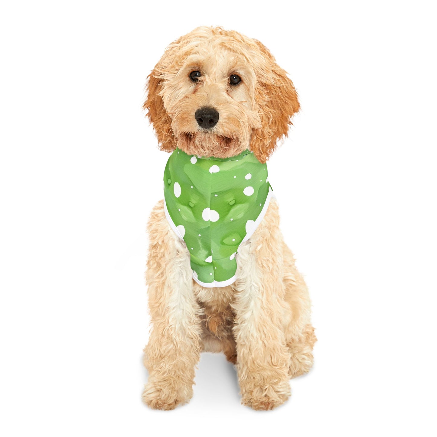 Green Watercolor Polka Dot Pet Hoodie