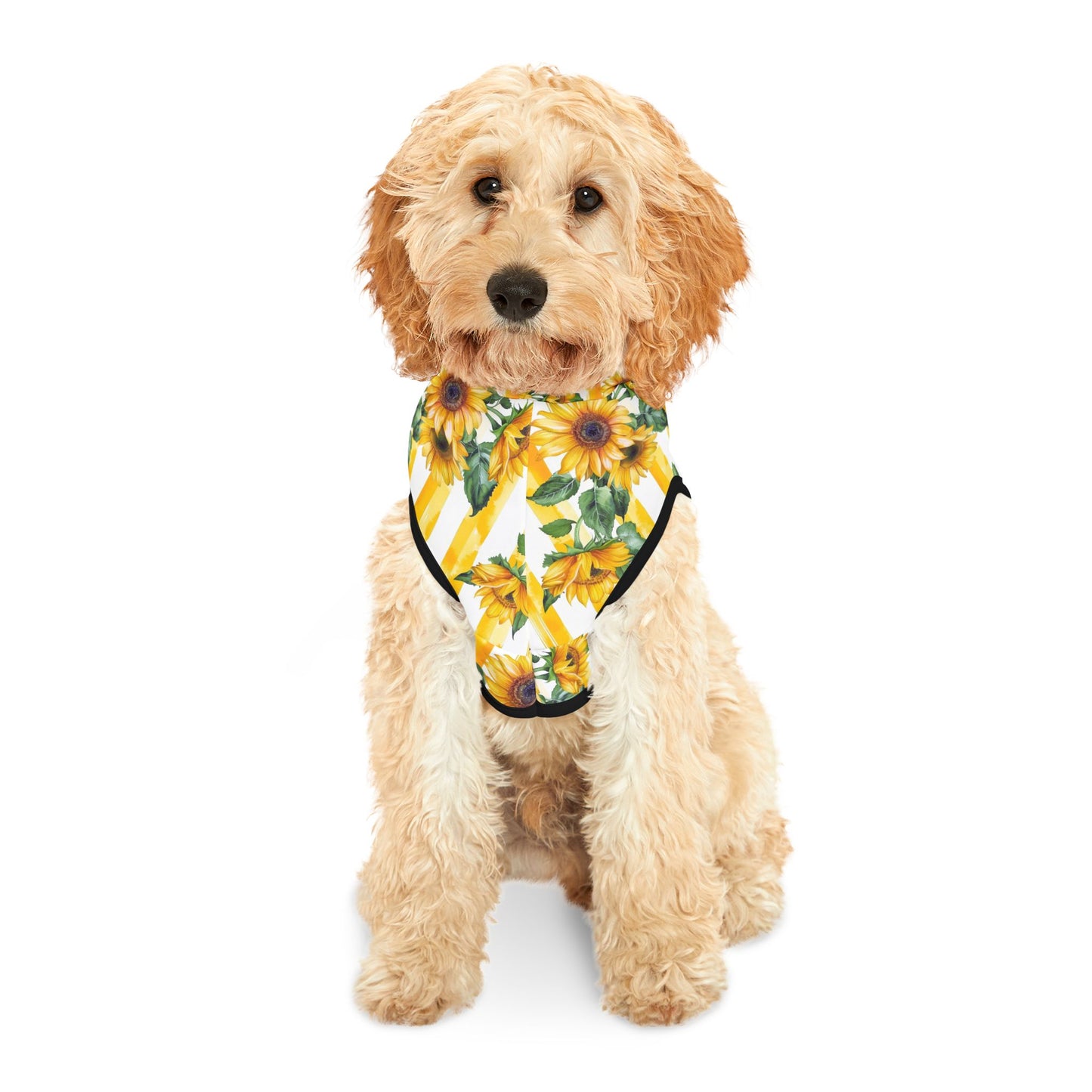 Sunflower Stripe Pet Hoodie