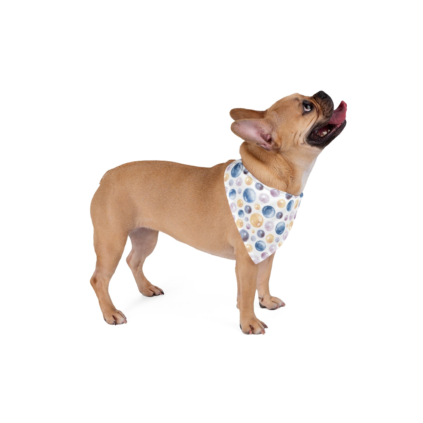 Bubble Pattern Pet Bandana