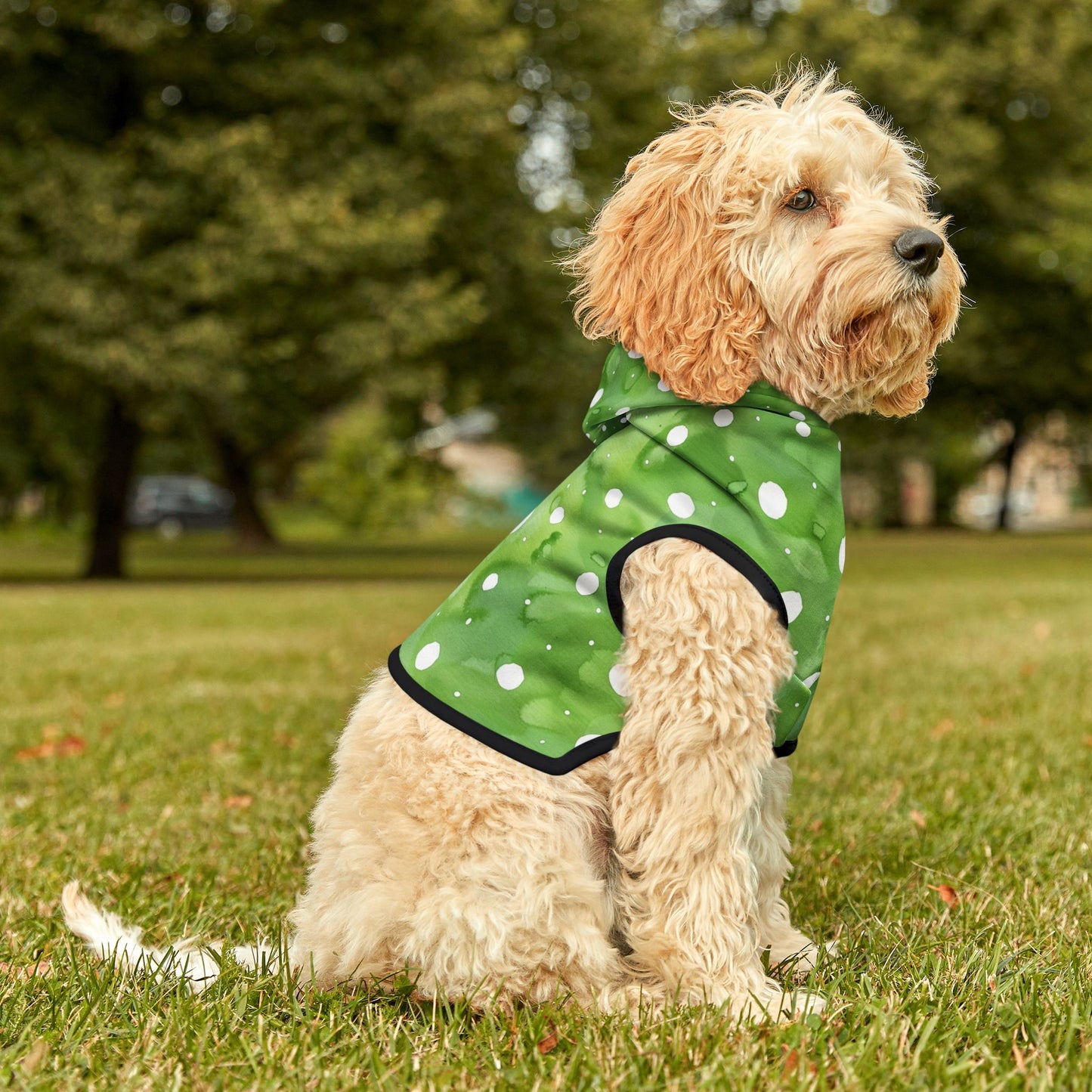 Green Watercolor Polka Dot Pet Hoodie