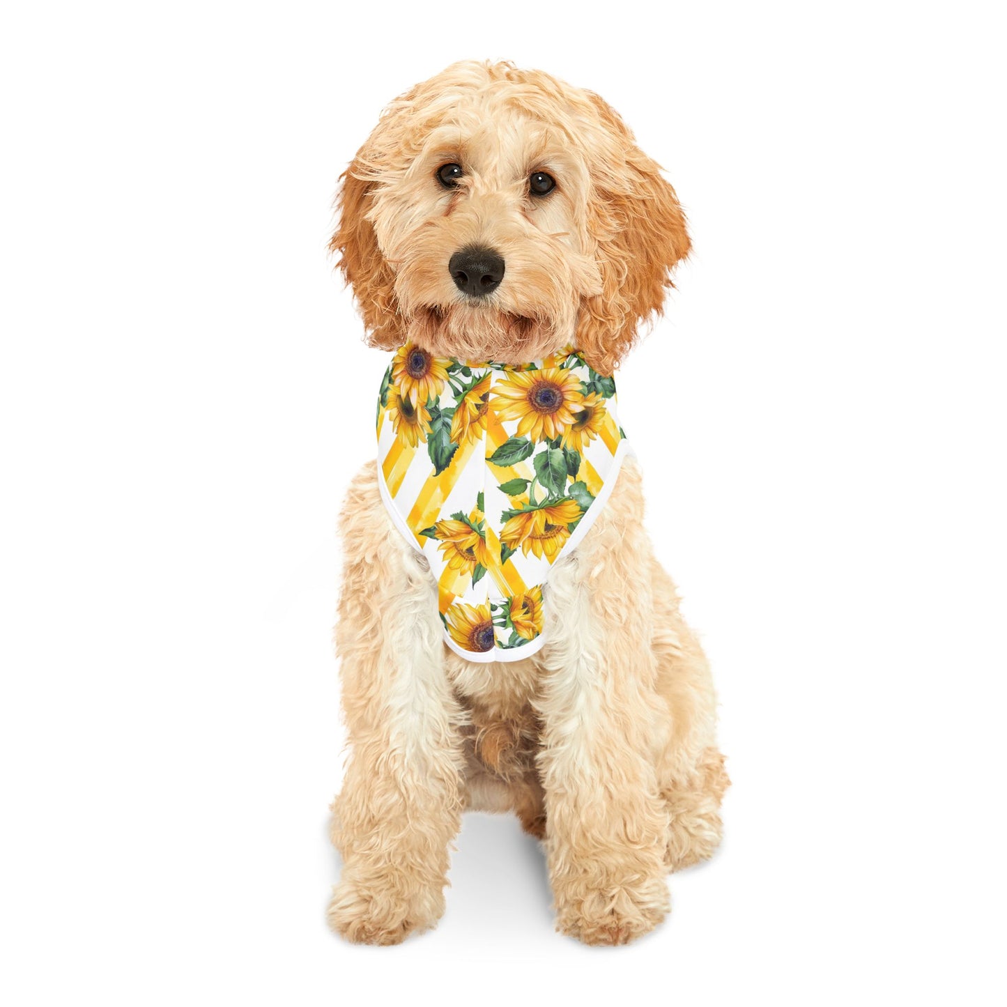 Sunflower Stripe Pet Hoodie