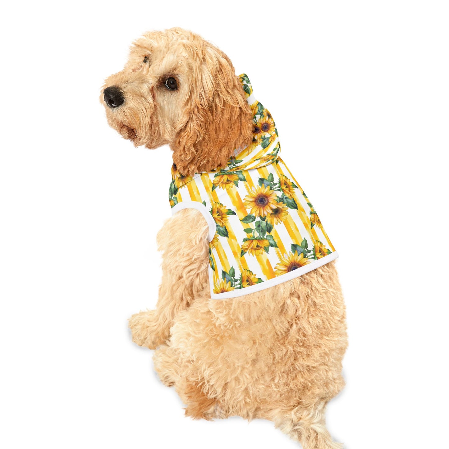 Sunflower Stripe Pet Hoodie