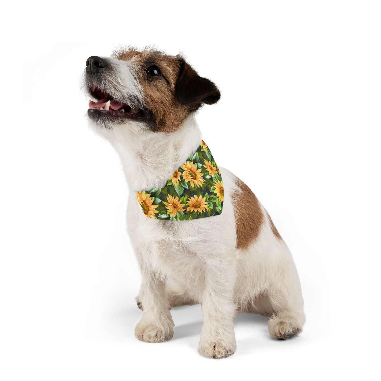 Sunflower Pet Bandana Collar