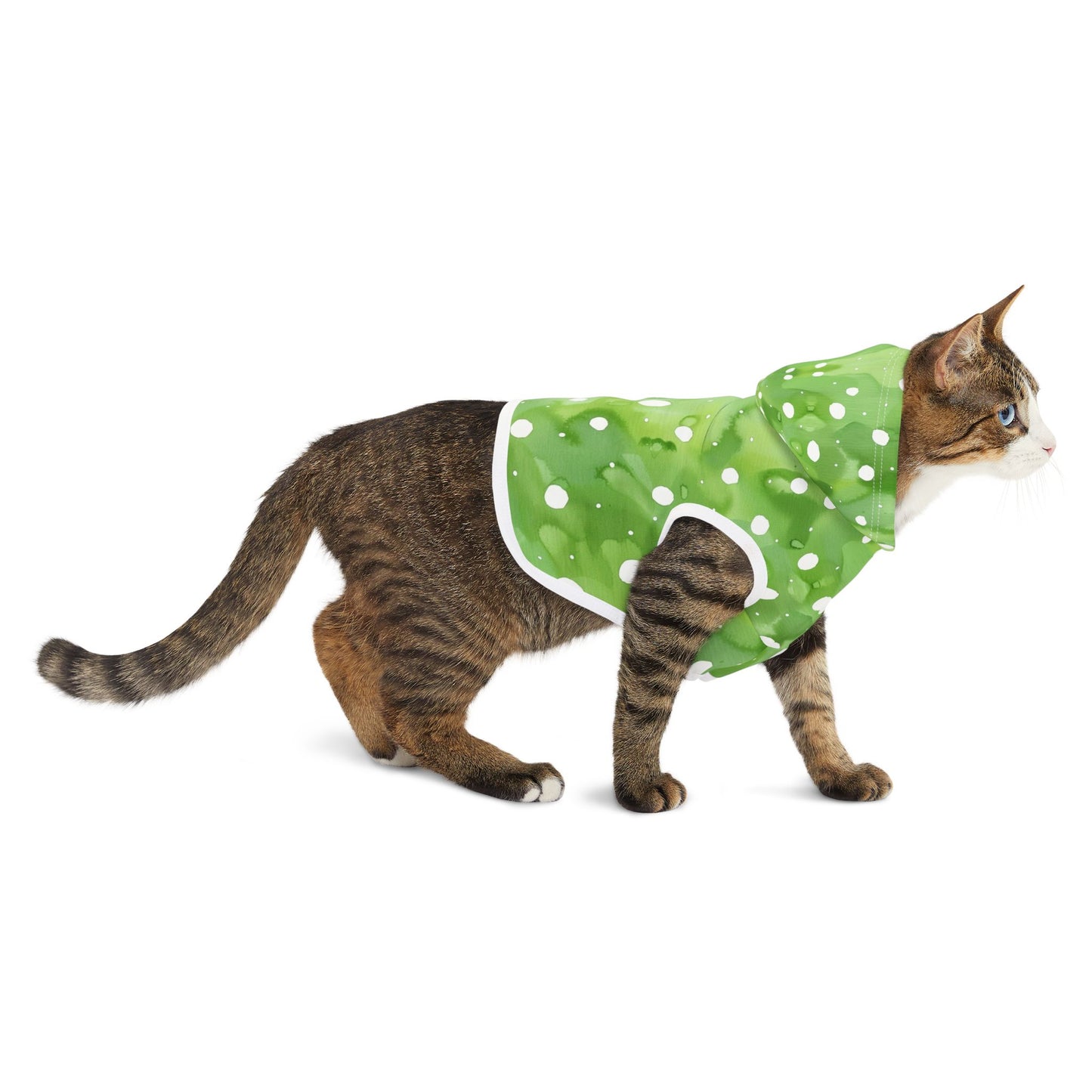 Green Watercolor Polka Dot Pet Hoodie