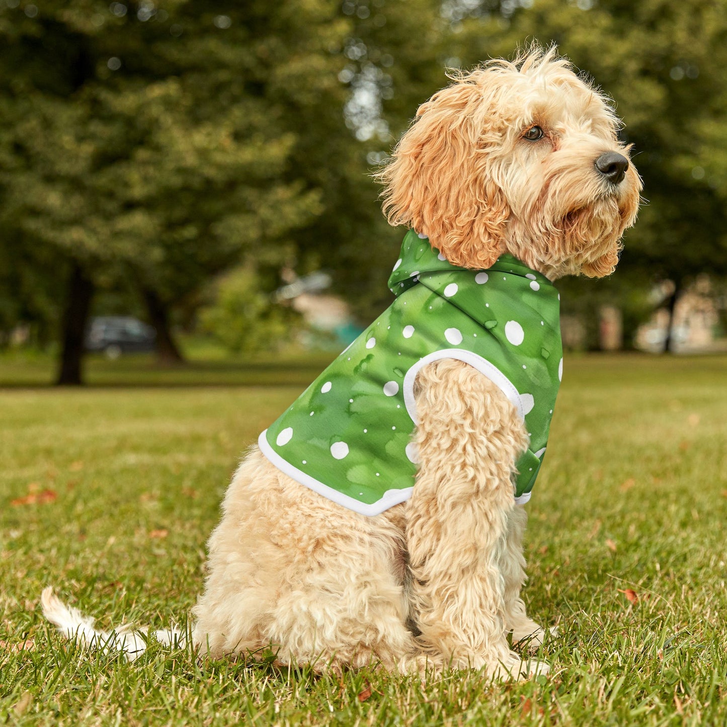 Green Watercolor Polka Dot Pet Hoodie